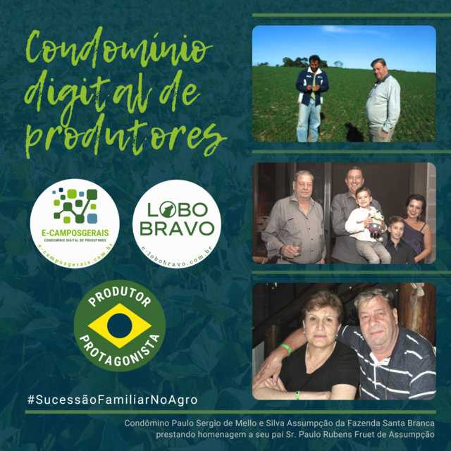 Imagem inserida por URL