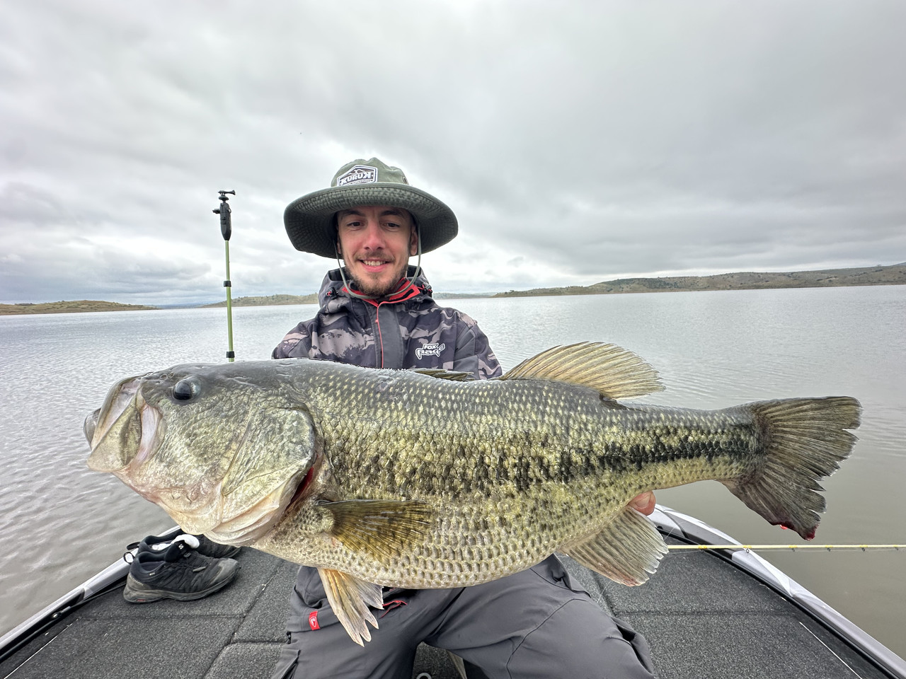 Black-bass d'Estrémadure