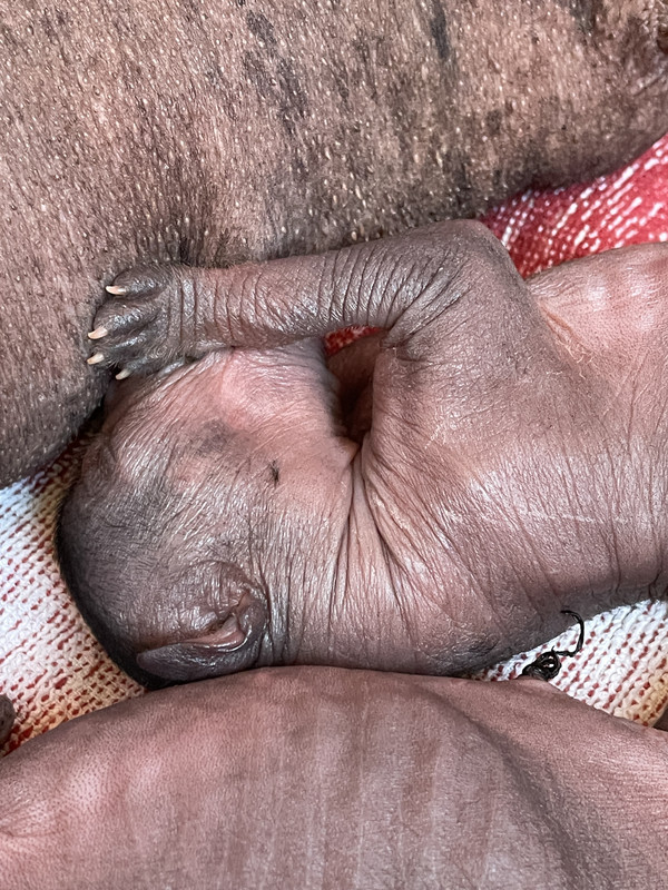 A9A38454-1EDA-4DC2-AA33-2B587E513583