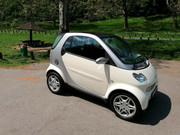 345058223_2223736804504088_4111995700140384545_n