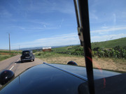 IMG-7666.jpg