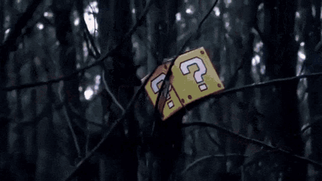 Mario and Luigi ask 'Why, God?'