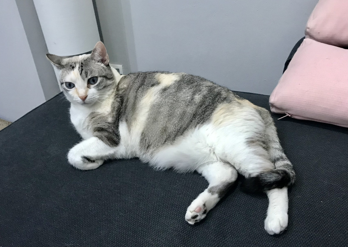 0FAD7952-CA42-413F-B912-BA8D4D7BD6CE