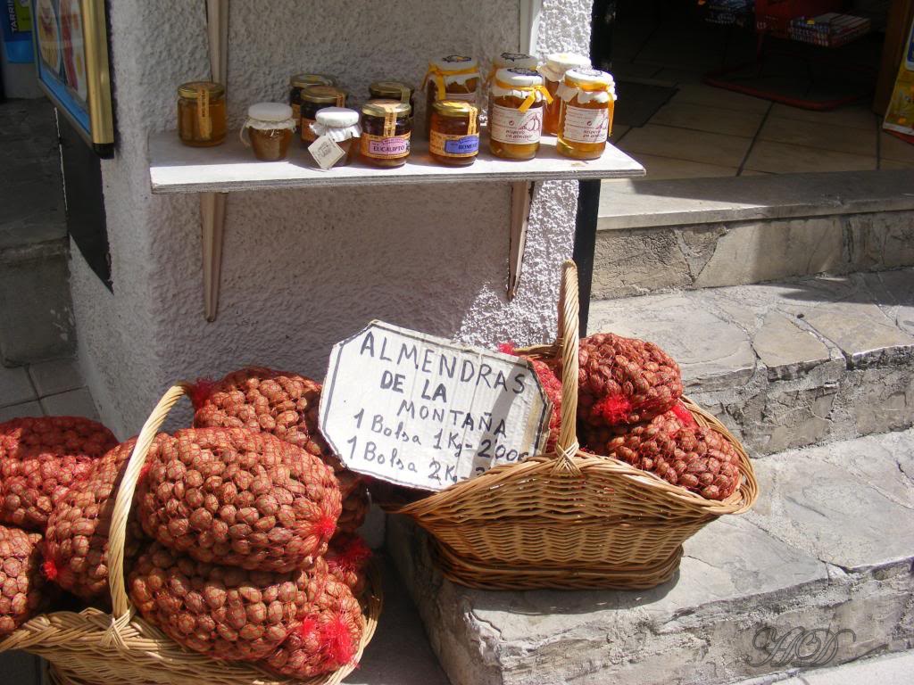 Nuts-Spain-HD.jpg