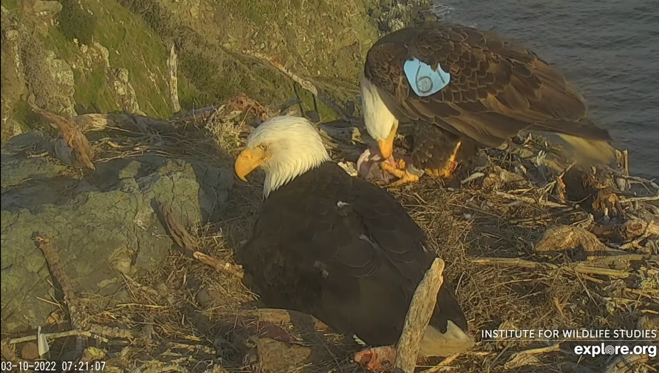 E1F10CD4-27F4-469C-988B-B23F0DAE6E3E