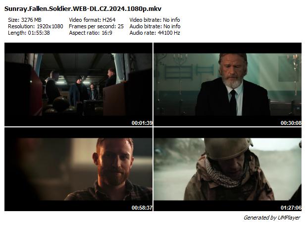 Sunray: Fallen Soldier (2024)
