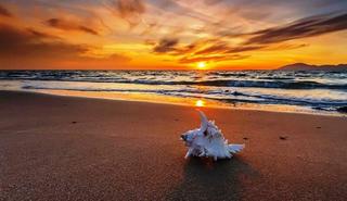 thanh -  Dòng thơ họa của Nguyễn Thành Sáng &Tam Muội (2) - Page 2 Sunset-Beach-HD-Backgrounds-WSC017553-1024x768