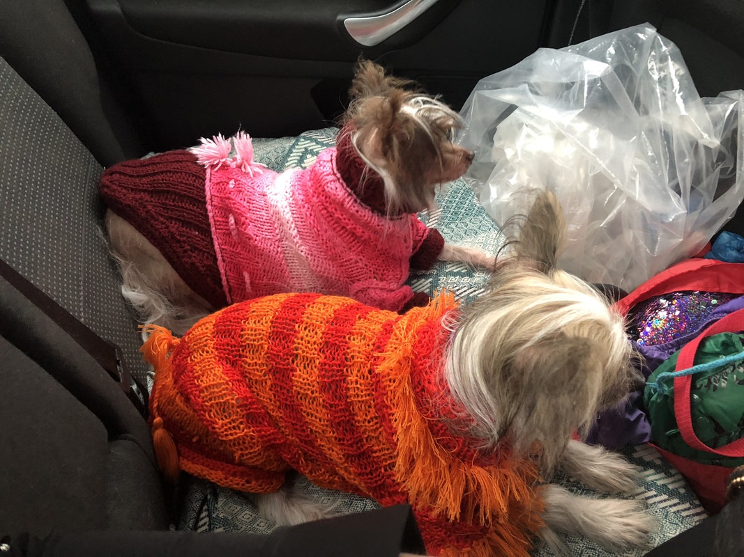 9BFCE1A7-9BC0-4644-A2CA-5F7D7C24F1B4