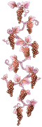 Rose-Sidebar-Right
