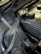 IMG-8386.jpg