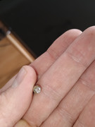 IMG_20241012_131918621