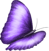 0_149999_753b771c_orig