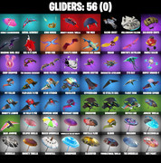gliders-comp