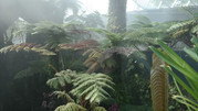 Cloud Forest 13