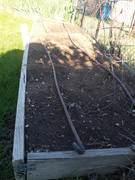 [Image: garden3.jpg]
