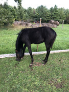 E11094-E0-8486-4385-B140-2-B9521170-B48