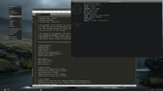 Screenshot-2025-03-03-11-13-38.png
