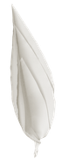Winter-White-Elements-220