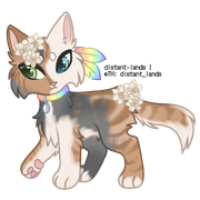 dilute calico tabby