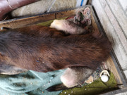 WhatsApp Image 2021-02-17 at 14.32.35