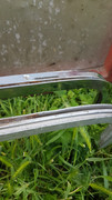baie-pb-3.jpg