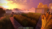 minecraft-sunset-cows.png