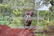IMG-6442