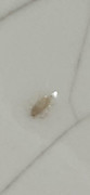 IMG-0677