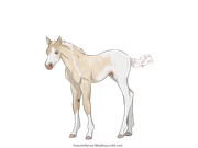 AE8C1E61-1D89-420F-A6FA-882582069AA5