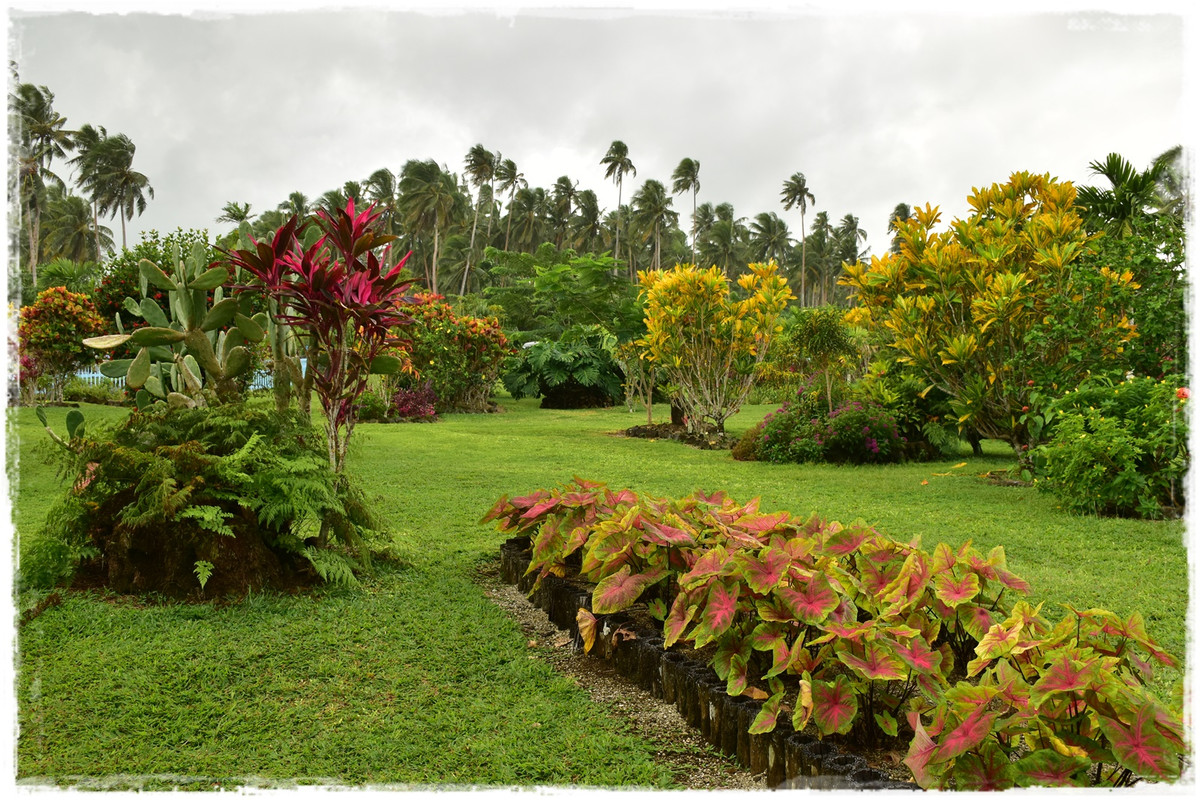 Introducción y curiosidades sobre Samoa - Talofa! Samoa, una perla en el Pacífico (20)