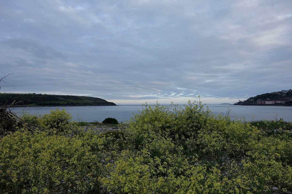 Screenshot 2021-04-27_20-51-47-765