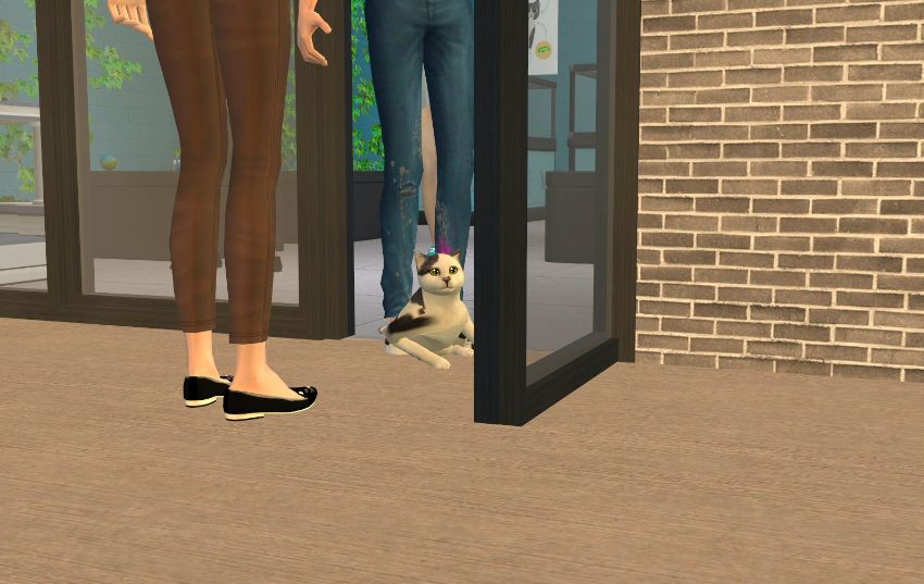 Sims2-EP9-2020-12-22-23-08-08-70