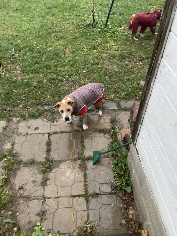 6F86970A-A42A-413E-8540-6E0BA4109BA1