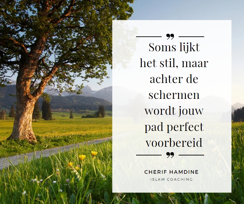 Schermopname-18-2-2025-75939-www-canva-com