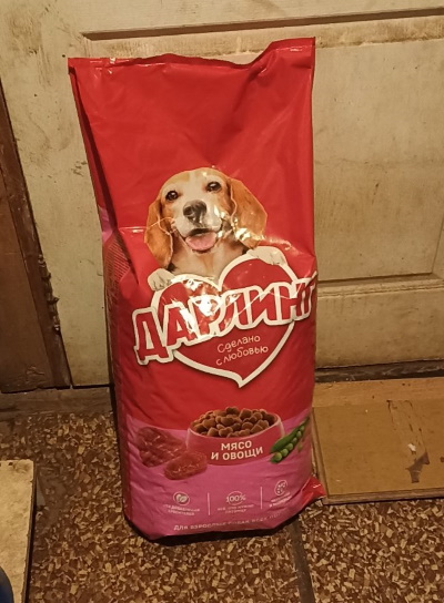 ������ ������ ��� ��������