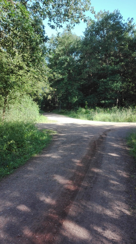 15276615037921175897303