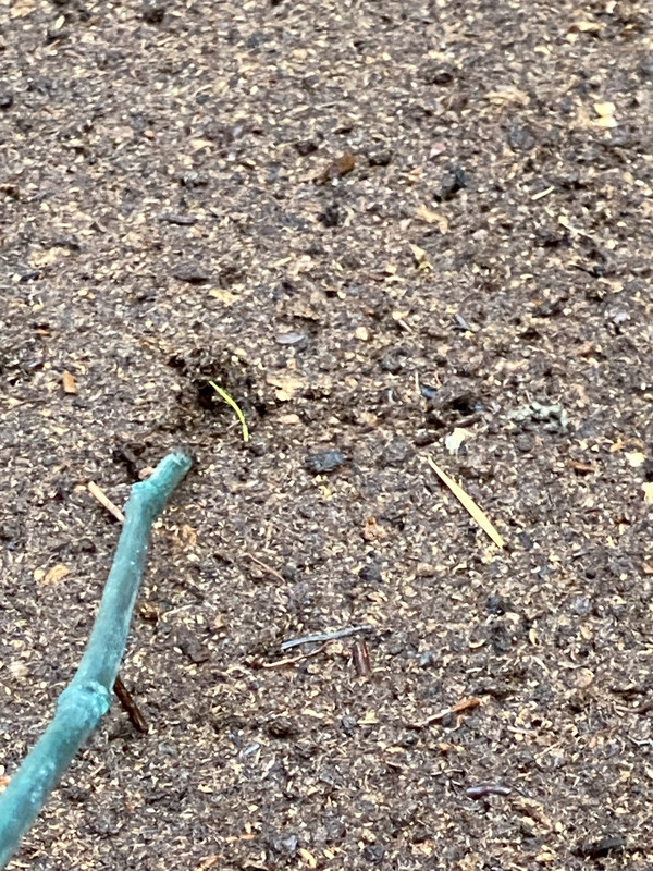 20E30255-E6A4-4A01-83DF-A6153BDB1D3F