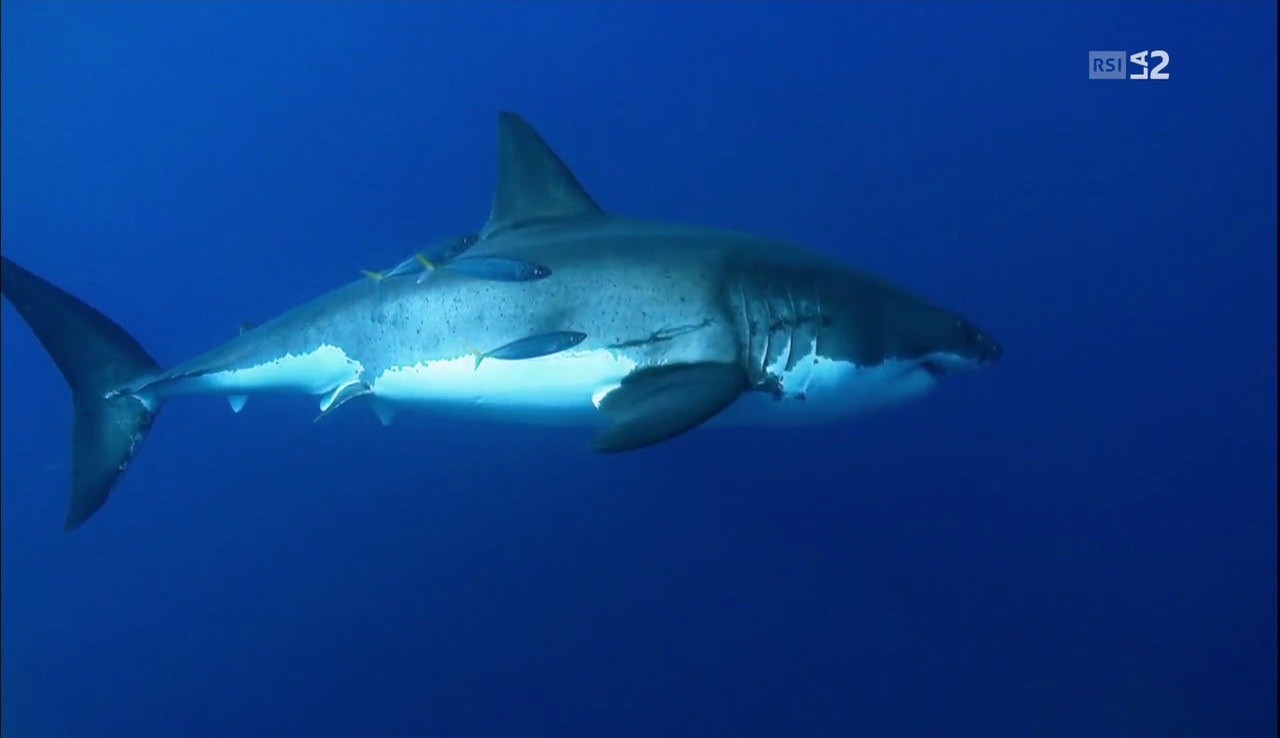 vlcsnap-2016-12-25-18h26m02s194