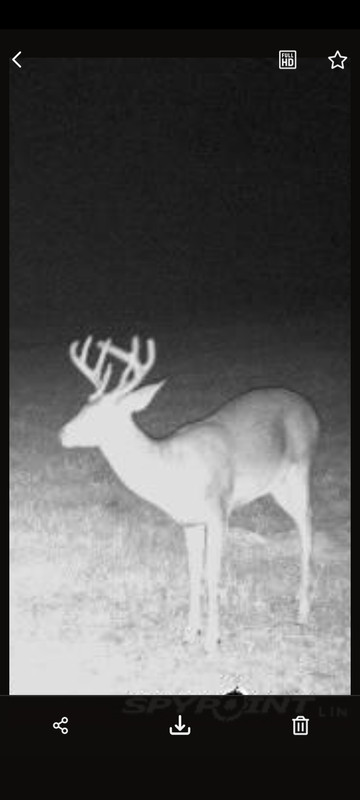 Screenshot_20240928_094517_SPYPOINT