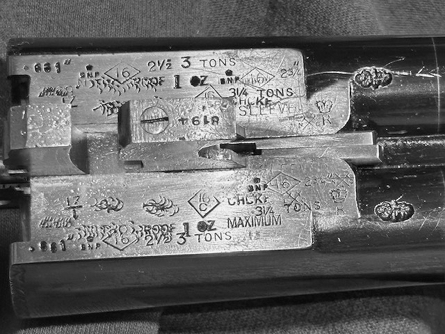 [Linked Image from i.postimg.cc]