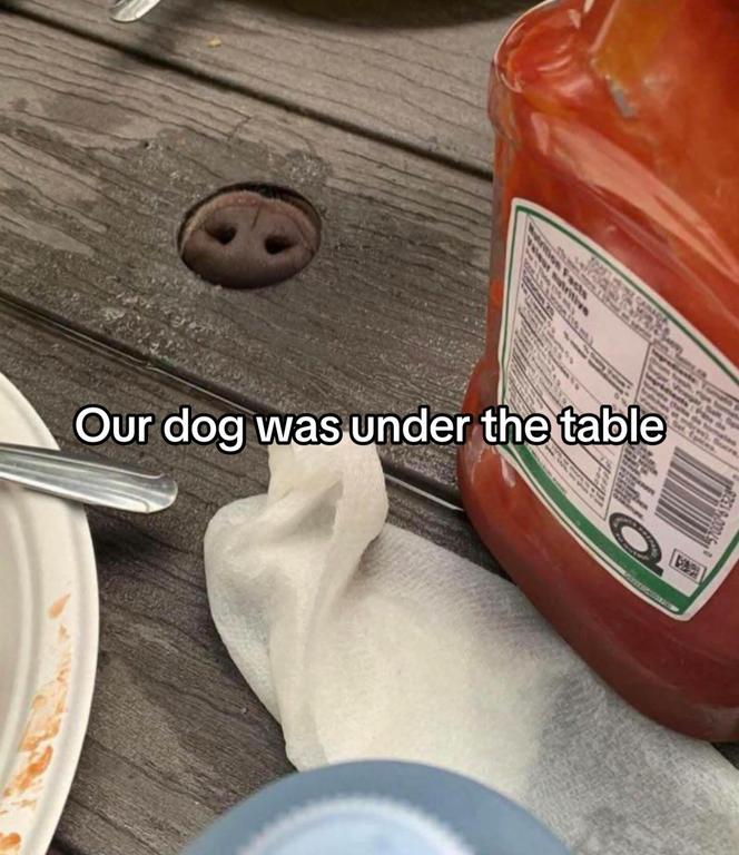 645902461-18517068412078704-2511001476094598672-n