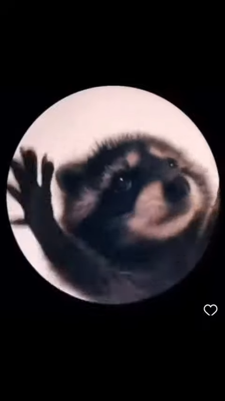 videoframe_900