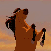 horsin-around-av2.gif