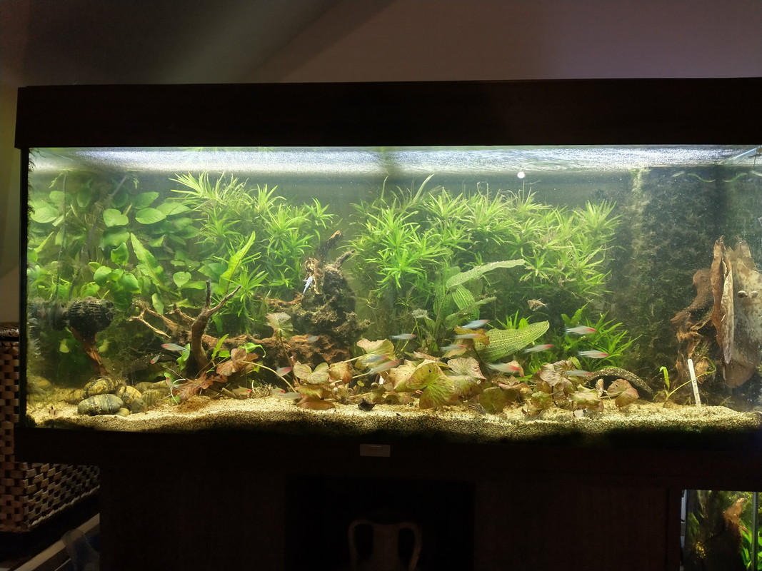 IMG_20211127_200734457_HDR