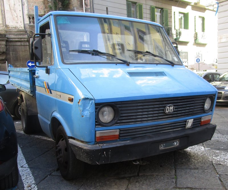 IMG-6353.jpg
