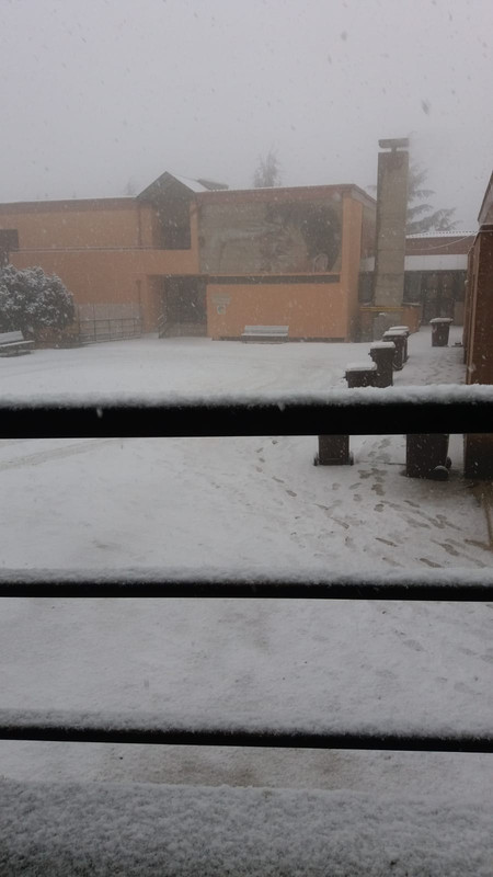 IMG-20190122-WA0001