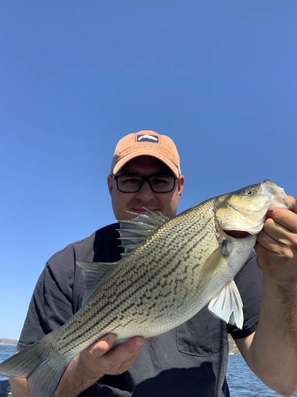 C9AF4ABD-CF74-465C-AE44-48C5D650E52B