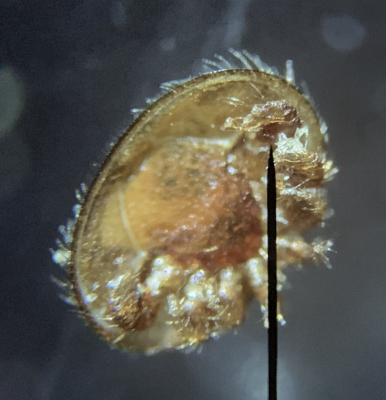 A80F598E-C4EB-4BAB-A254-74641F7565C8