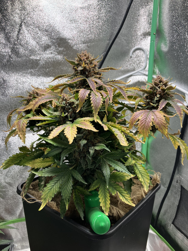 912F8B12-BC01-47D0-9805-84CB5223AD97