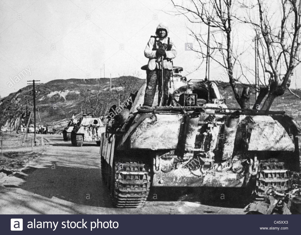 german-panther-tank-in-hungary-1945-C45XX3 (1)